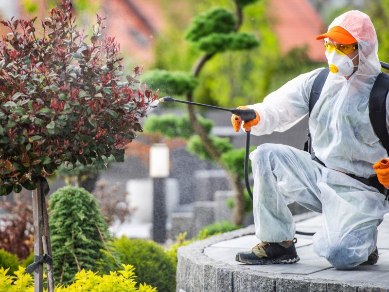 Arnavutköy Haşere İlaçlama